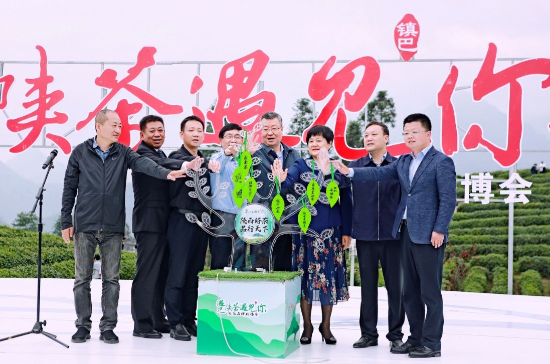 第四届陕西网上茶博会启动 线上线下推广陕茶品牌助推茶叶销售