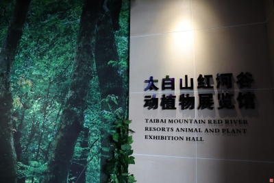 【广播宝鸡·视频】又一游玩好去处！红河谷动植物展览馆已开馆